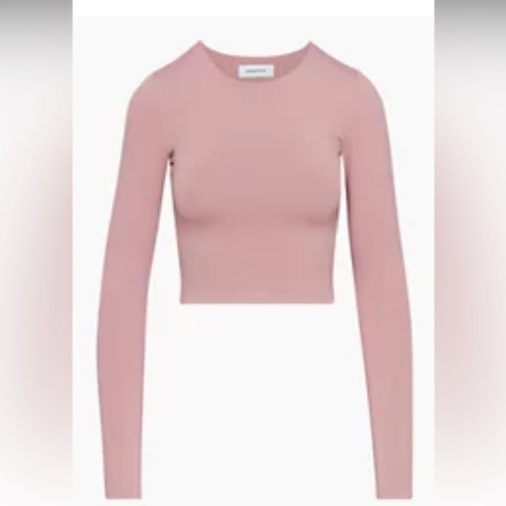 Aritzia - Babaton contour crew longsleeve